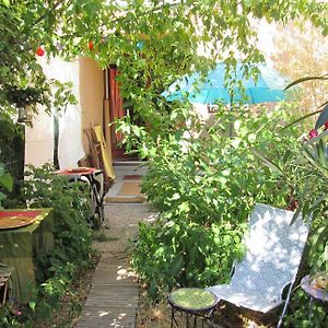 Joli Studio Avec Jardinet
