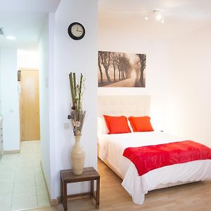 Un Ideal Estudio Para Conocer Madrid