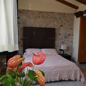 Suite Lit Queen-Size