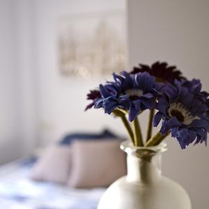Appartement Duplex