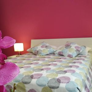 Maison 3 Chambres