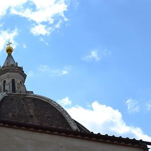 Oasi Letizia