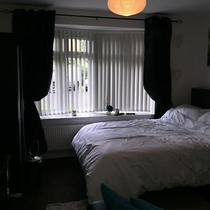 Studio Lit King-Size