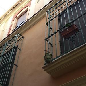 Apartamento San Benito 