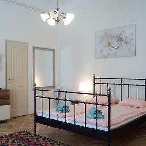 Friendly Home In The Center