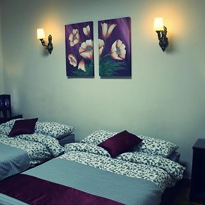 Cairo International Hostel