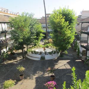 Appartement Rez-de-Chaussée
