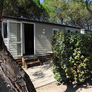 Mobile Home