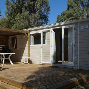 Mobile Home