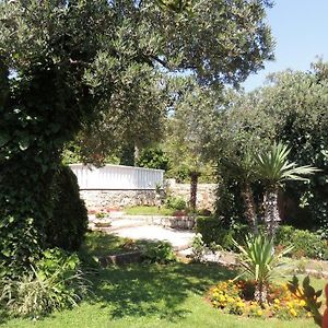 Apartments Travarevic