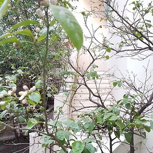 Errathens Aegean Apartment - Athens Center, 5 Bd, 2 Bath