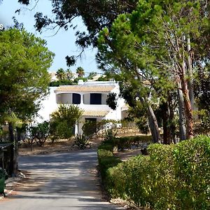Balaia Gardens, Jardins Da Balaia