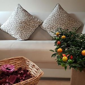 Appartement Rez-de-Chaussée