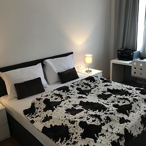 Appartement Grand à 1 Chambre à Coucher