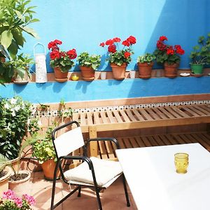 Appartement Penthouse