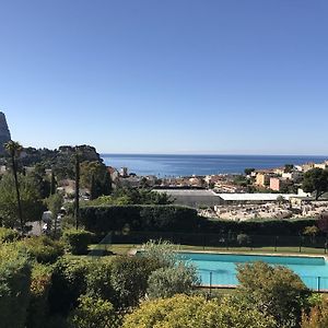 Le Plein Sud