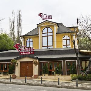 Suite Junior