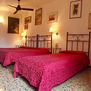 Chambre Standarde Triple