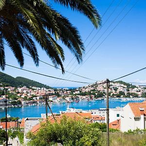Apartments Dubrovnik Palm Tree Paradise
