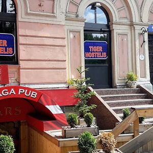 Tiger Hostel