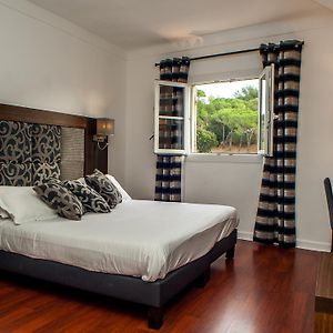 Chambre Supérieure Lit King-Size