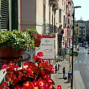 A Casa Di Mamma