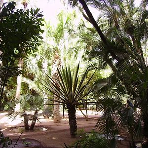 Appart avec vue Jardin/Majorelle