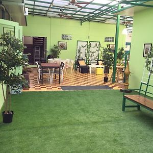 Greenery Hostel