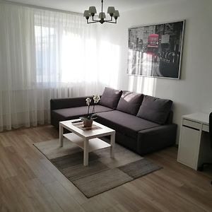Vilnius Town Apartment