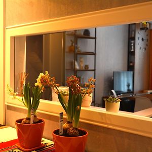 Appartement de Luxe