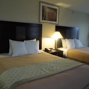 Chambre Lit Queen-Size