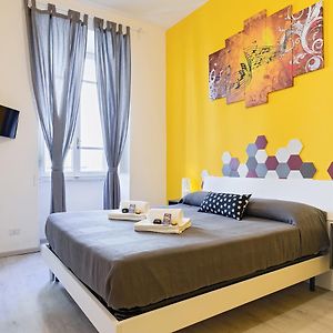 Chambre Standarde Lit King-Size