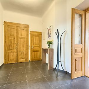 Spacious And Bright Apartment Dusni 13