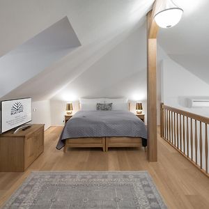 Studio Supérieure Lit King-Size