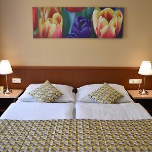 Suite à 1 Chambre à Coucher