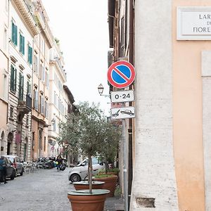 Domus Giulia