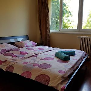 3 Rooms Stefan Cel Mare