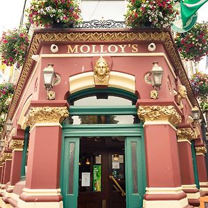 Molloys Apartments