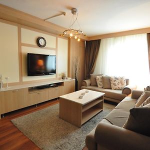 Suite Junior