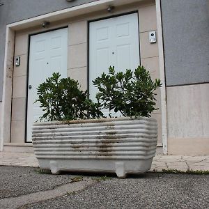 Appartement Rez-de-Chaussée