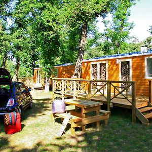 Mobile Home