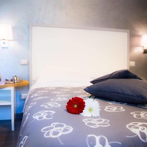 Chambre Supérieure Lit King-Size