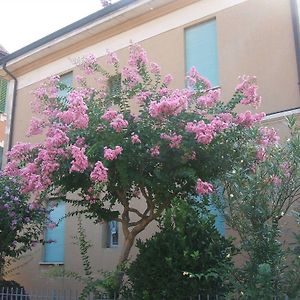 B&B Accorsi
