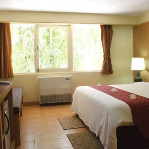 Chambre Standarde Lit King-Size