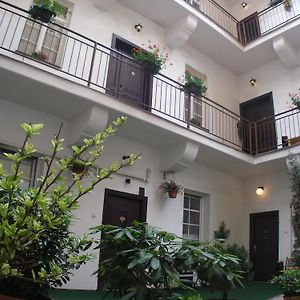 Mila Apartments