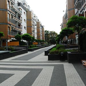 Apartament - Chelmska Olinek