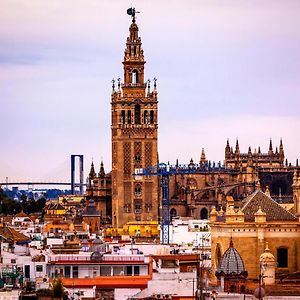 Fantastico Estudio En Centro Ciudad - Conde De Ibarra 11/13-