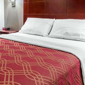 Chambre Lit Queen-Size