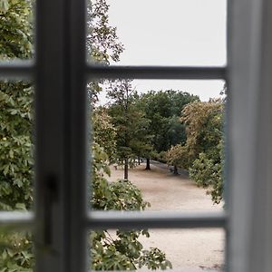 Chambre Supérieure Double