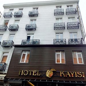 Hotel Kayisi